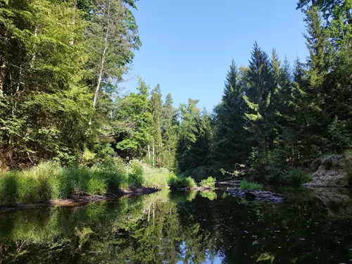 Nová řeka – umělý kanál Lužnice