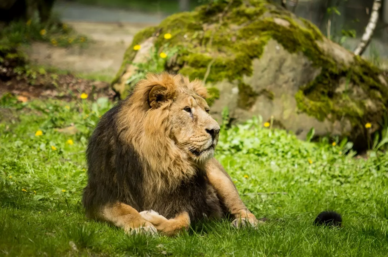 O hodinu déle v Zoo Ostrava: areál zoo prodlužuje otevírací dobu