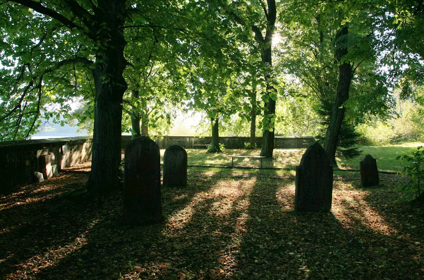 Židovský hřbitov Hoješín