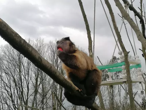 Malý ošetřovatel v Zoo Tábor