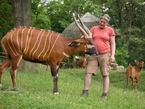 Světový den bongů v Zoo Praha