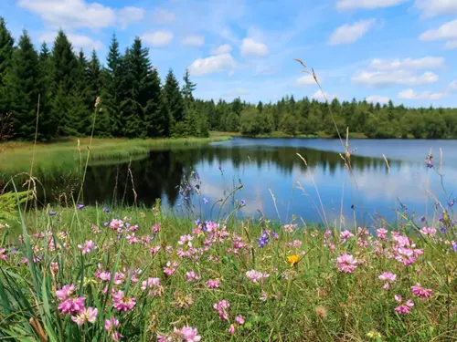 Zdroj foto: krusnehory.cz