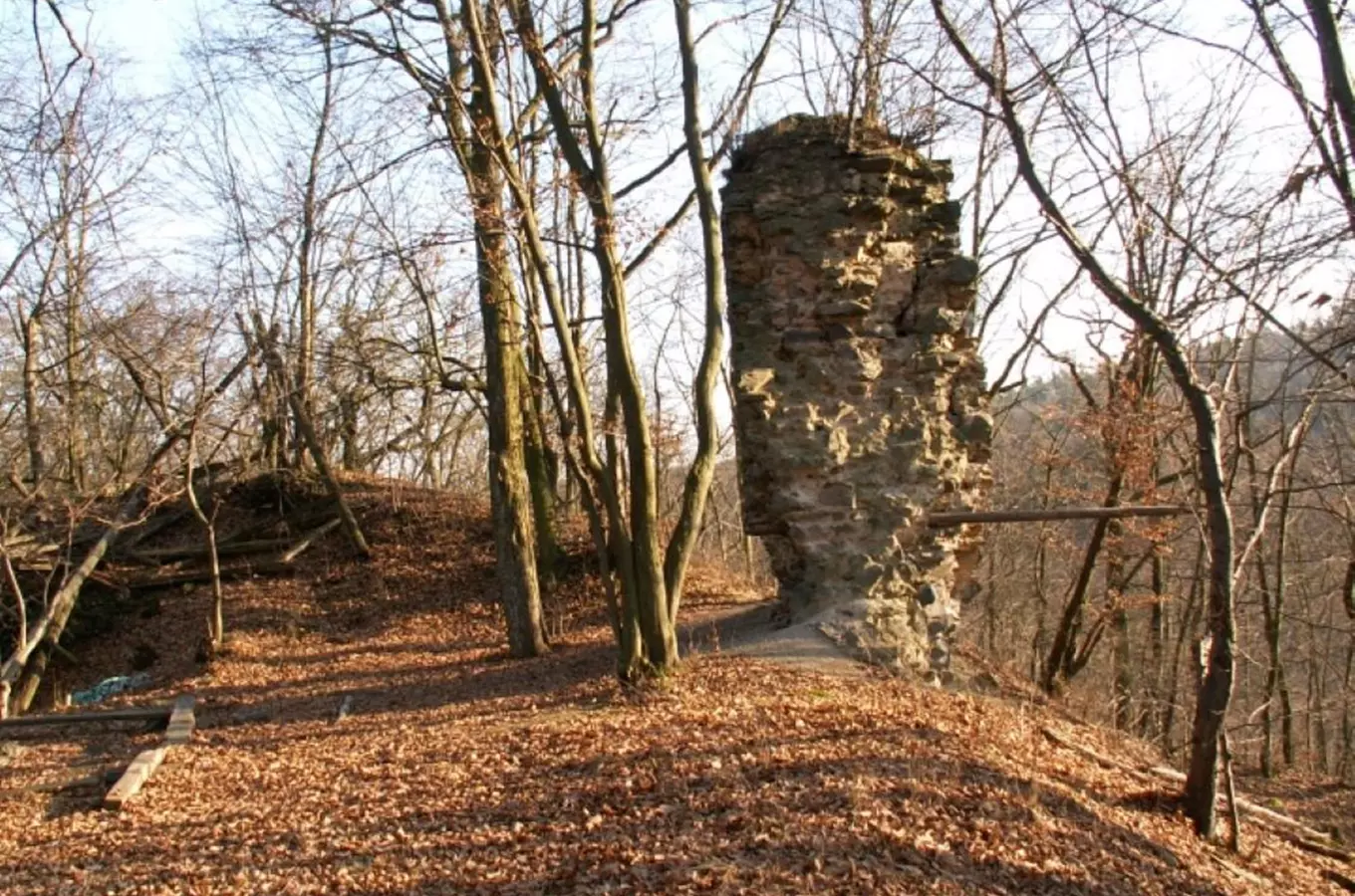 Zřícenina hradu Rabštejn u Dukovan