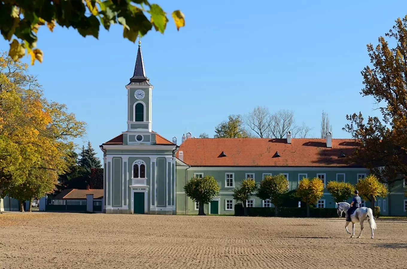 Pardubický kraj: koně, hřebčíny, dostihy a masopustní obchůzky