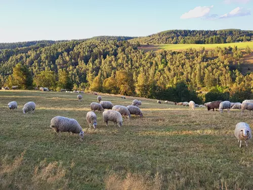 Hora Svaté Kateřiny