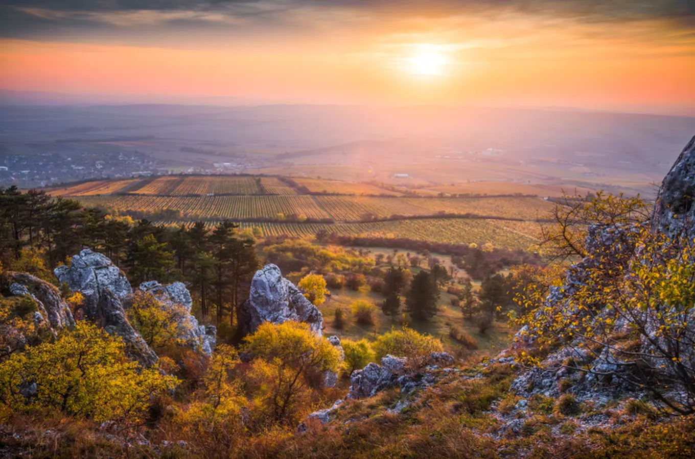 Chráněná krajinná oblast Pálava