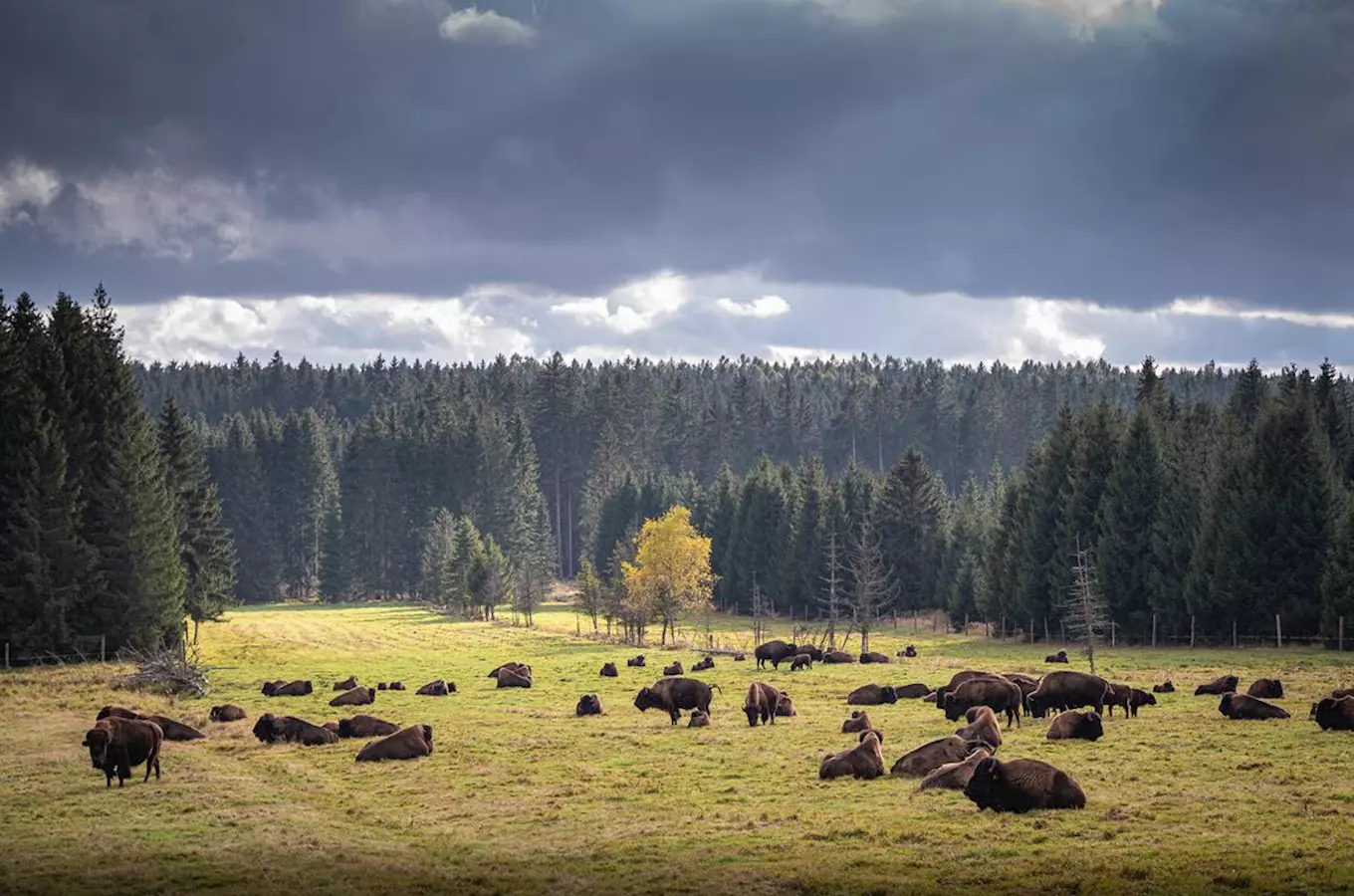 Přírodní park Česká Kanada