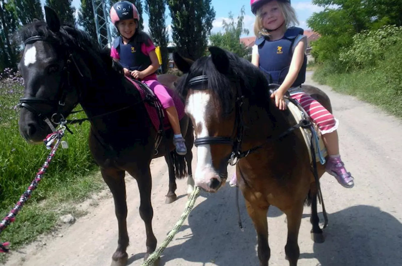 Pony Park Holubice a minizoo