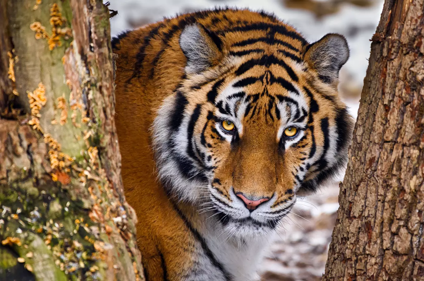 S pololetním vysvědčením přijďte do Zoo Zlín za 1 Kč