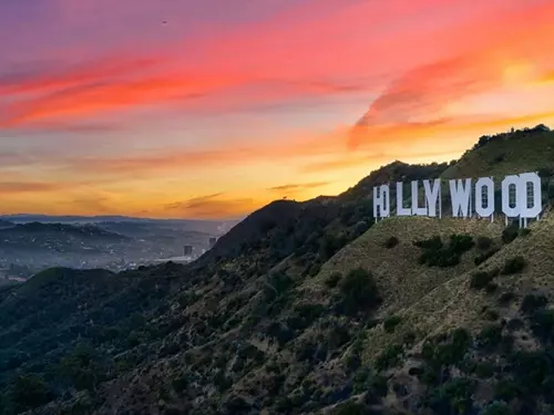 Za leskem Hollywoodu