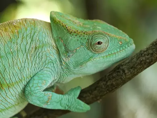 Zoo a zooparky, Kudy z nudy, Středočeský kraj