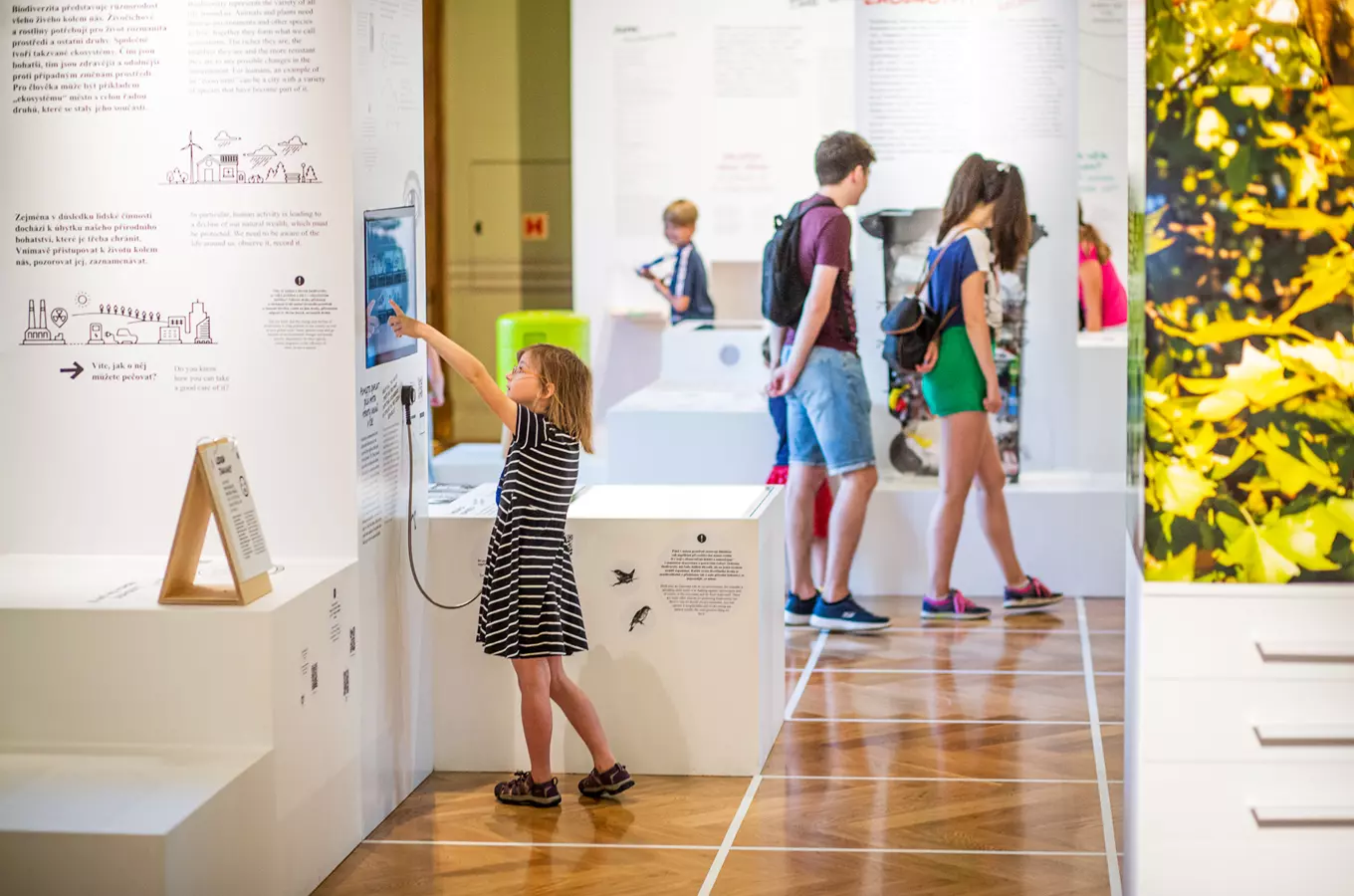 Národní muzeum letos otevře pět velkých výstav!