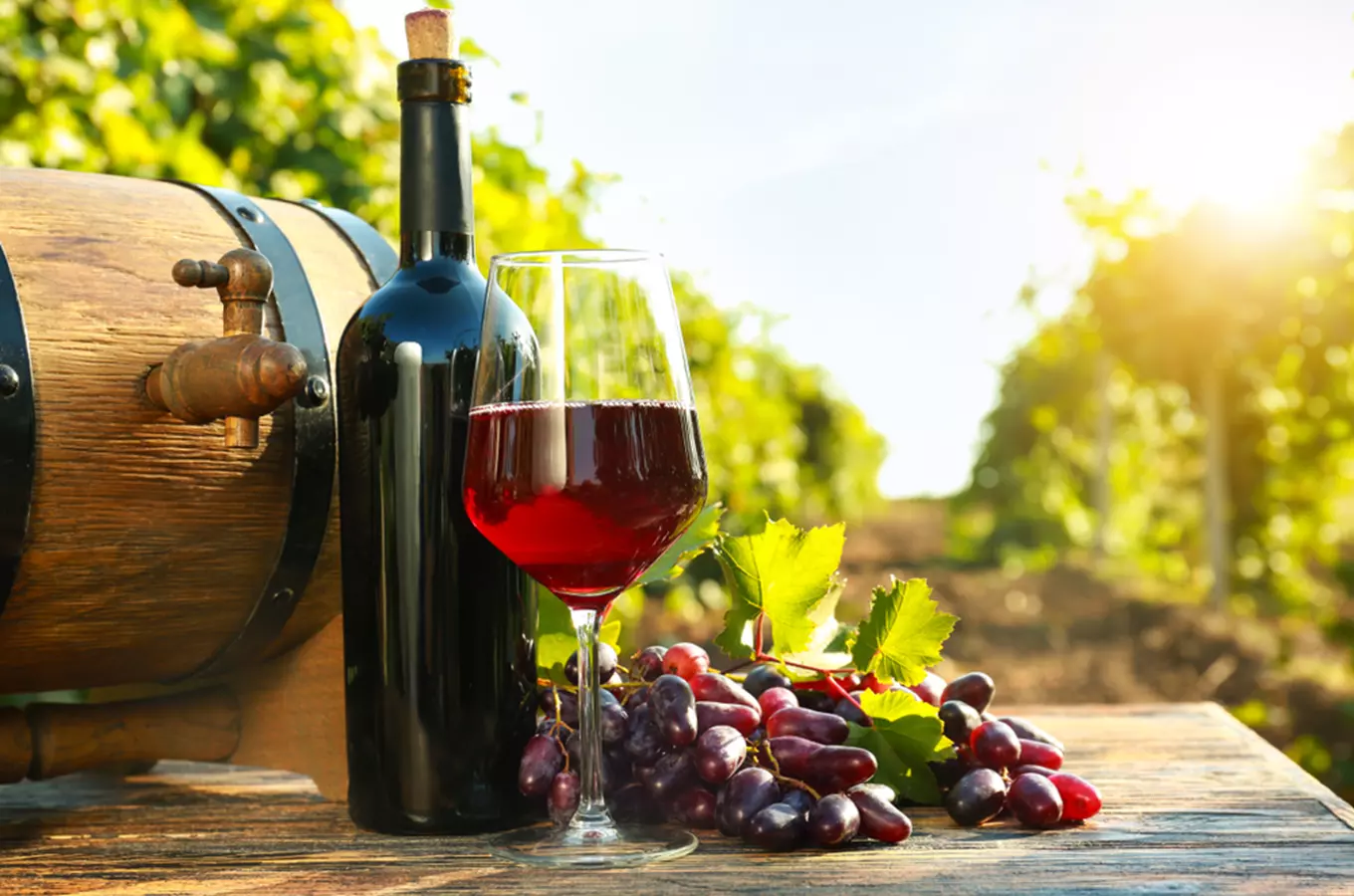 TOP vinařským cílem roku 2020 jsou Templářské sklepy