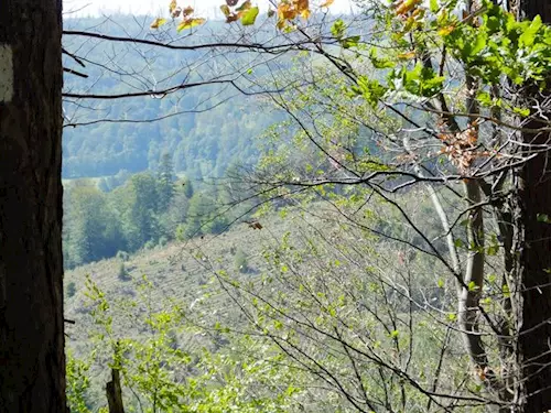 Vyhlídka Bellaria u Hradce nad Moravicí