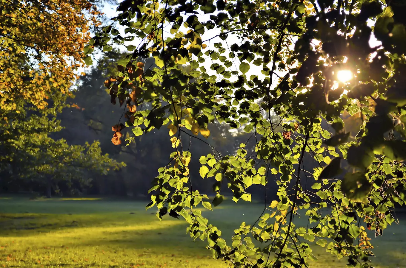 Zámecký park v Rájci nad Svitavou