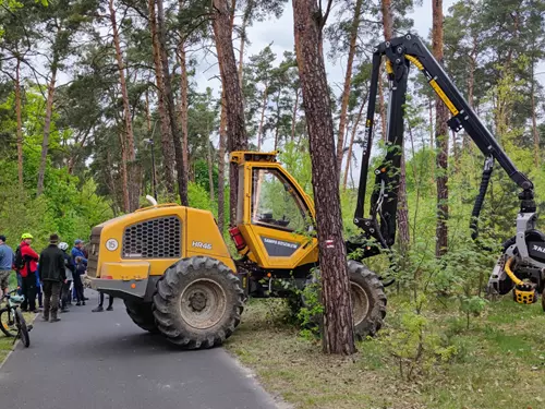 Den otevřených lesů v Doksech