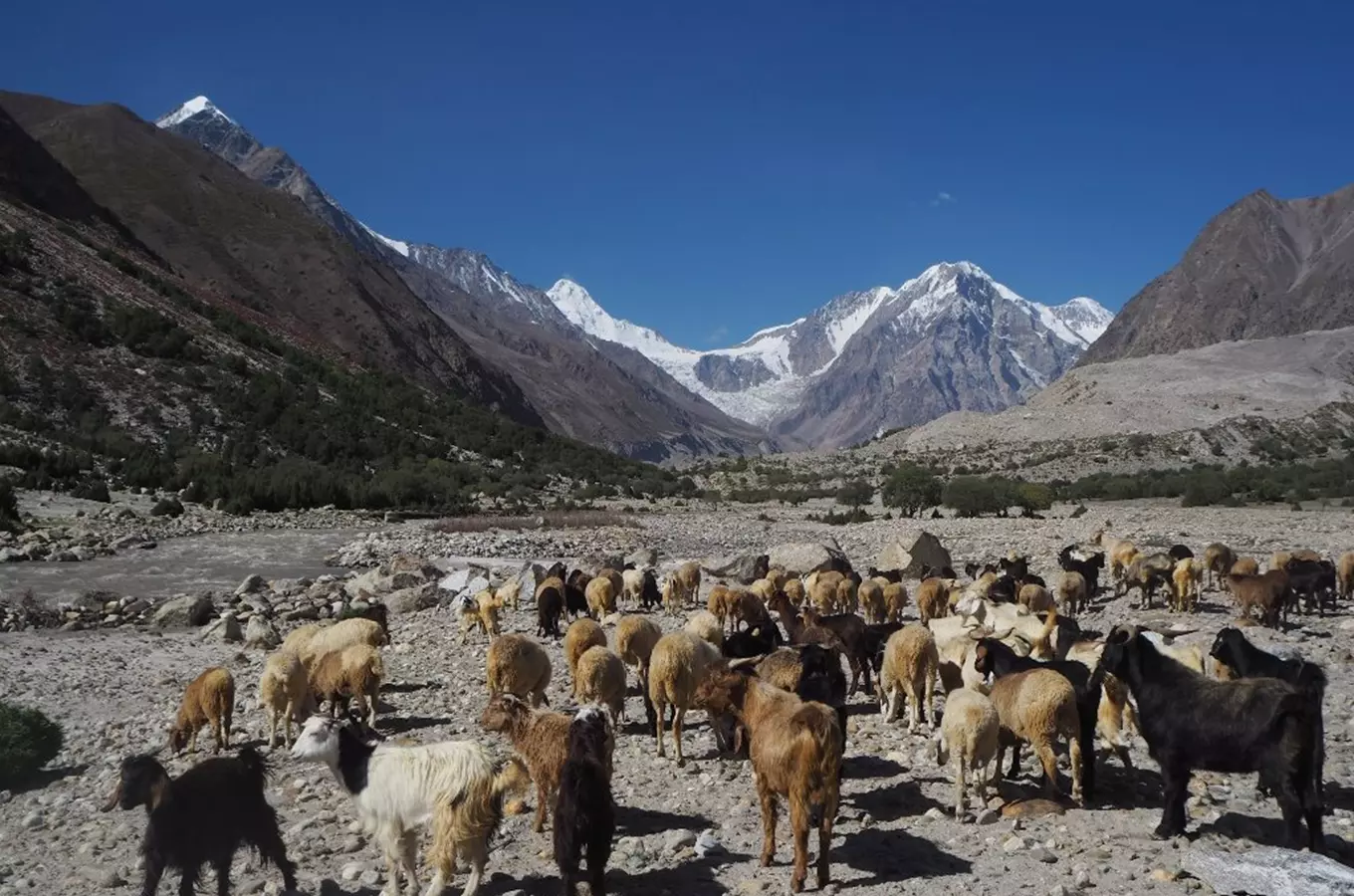 Trek okolo osudové osmitisícovky Nanga Parbat