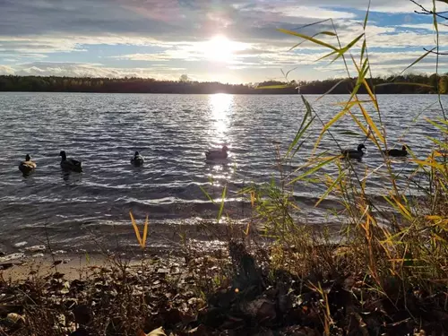 Jezero Podebrady letní plavaní