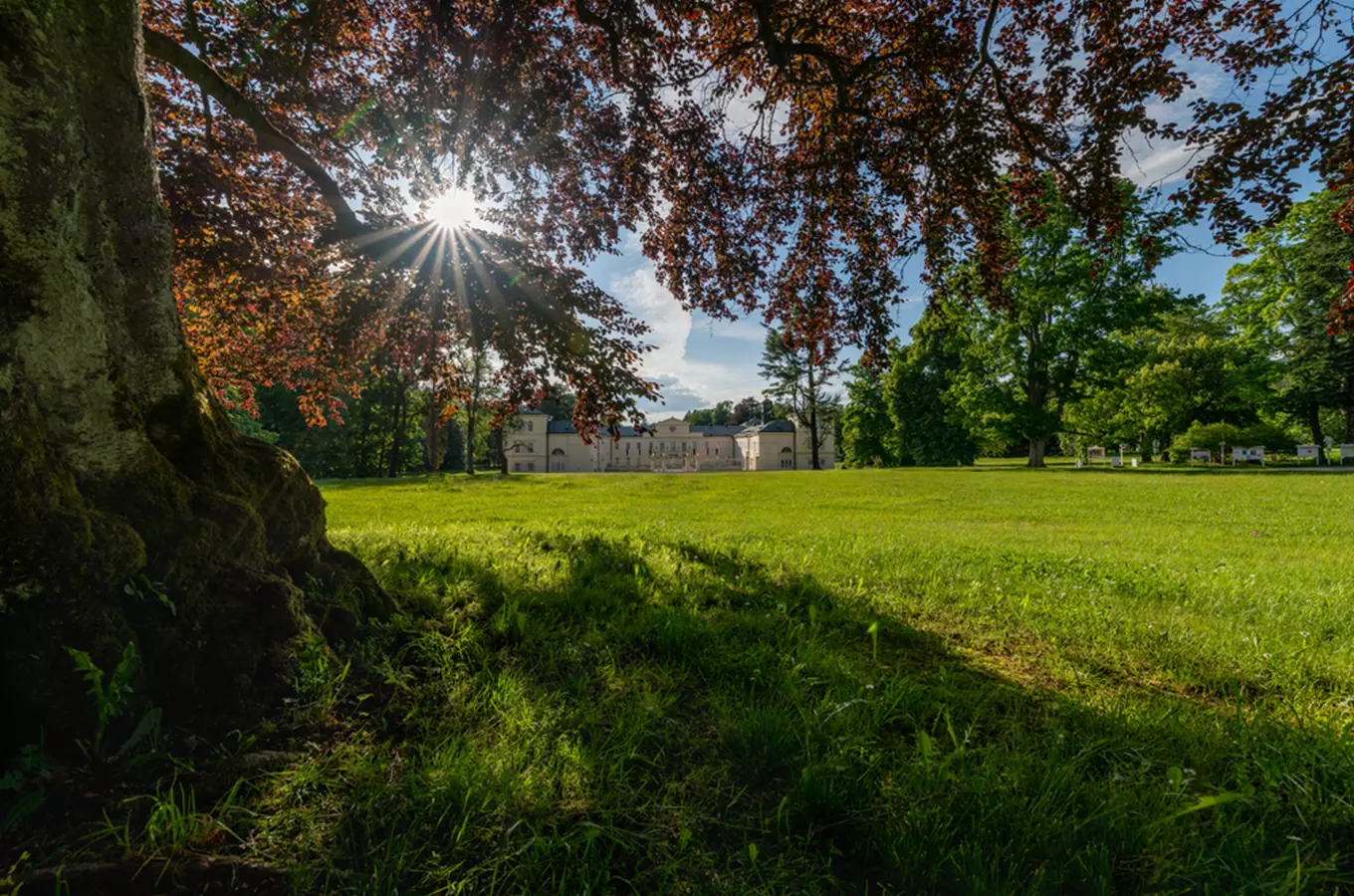 Anglický zámecký park Kynžvart