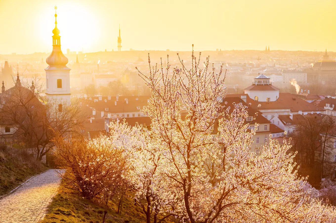 NTF Bohemian Muse - probuďte svou bohémskou duši na pražských věžích