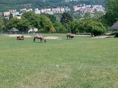 Zoo Ústí nad Labem