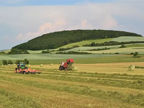 dožínky