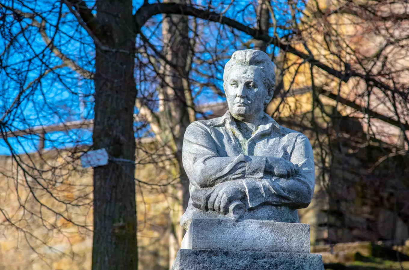 Česko mezi řádky: Jaroslav Hašek a Osudy dobrého vojáka Švejka za světové války