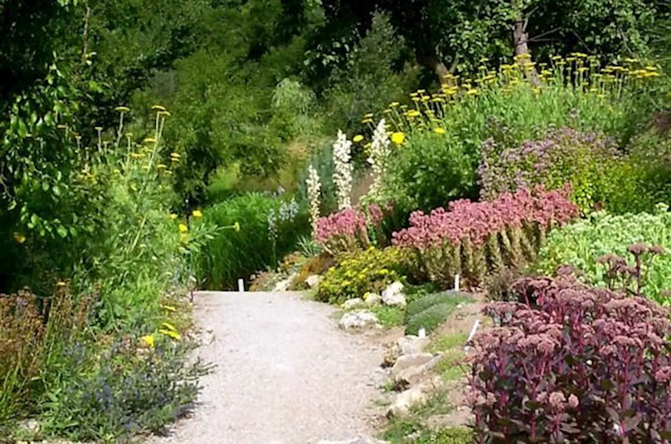 Arboretum Šmelcovna, Kudy z nudy