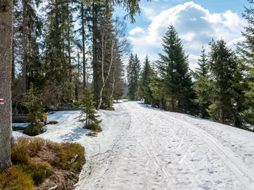 Hledačka, Kudy z nudy, quest