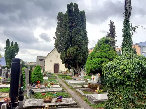Procházka radotínským hřbitovem