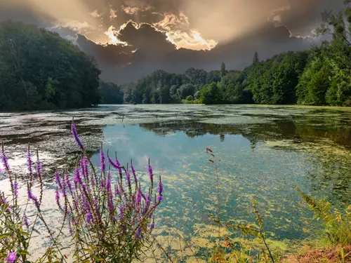 Skvosty našich národních parků a chráněných oblastí: 20 nejkrásnějších míst, která navštívit v Poodří