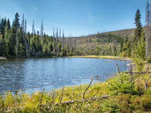 Jezero Laka – nejmenší a nejvýše položené šumavské jezero