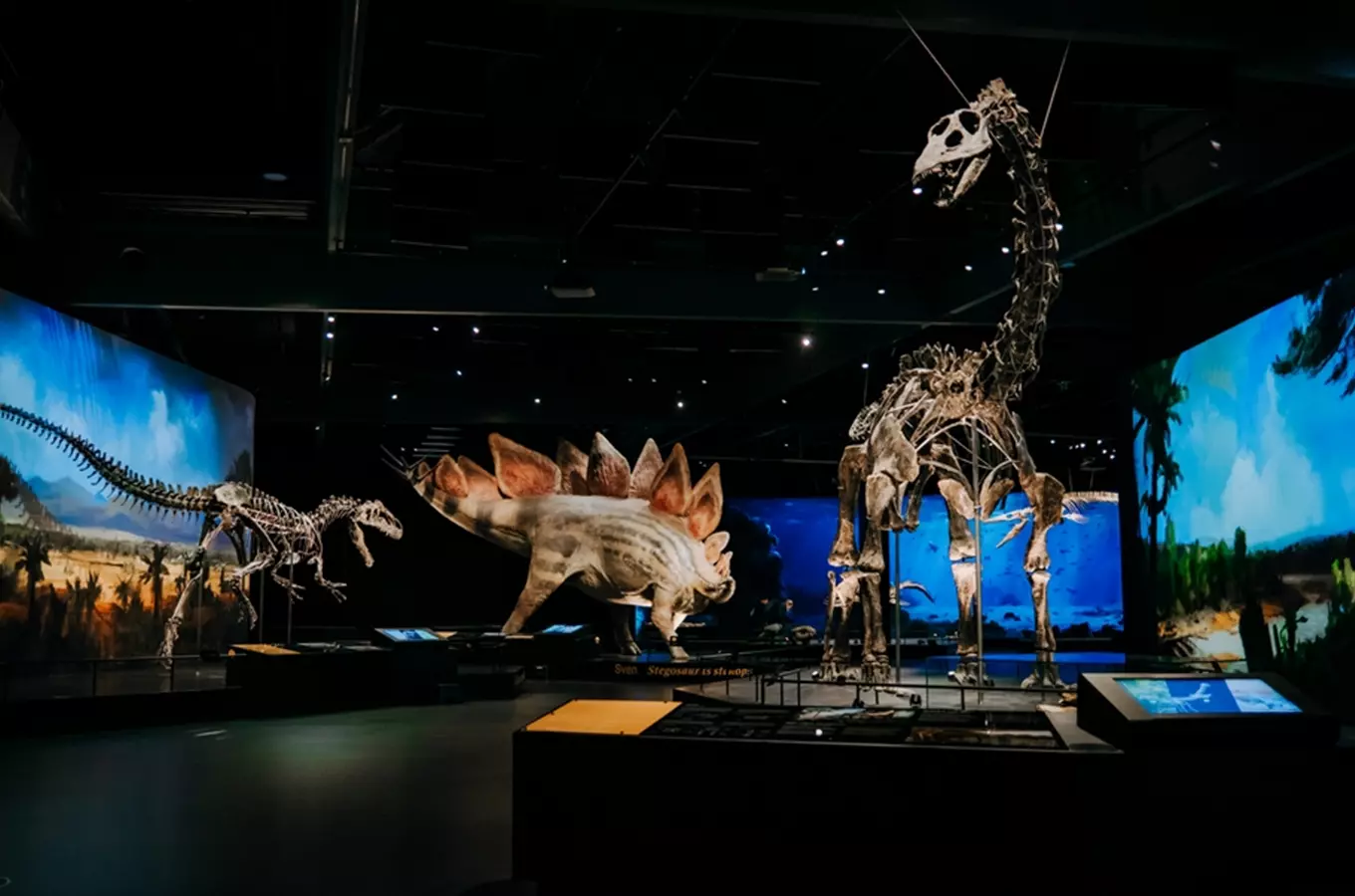 Dinosauria Praha – Dinosauria Museum Prague