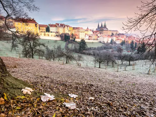 15 tipů na zimní procházky po pražských parcích
