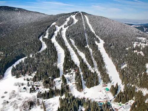 Ve ski areálu Špičák na Šumavě si užijete skvělé lyžování i porci recese na sled dogs