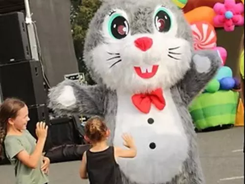 Kroužkofest