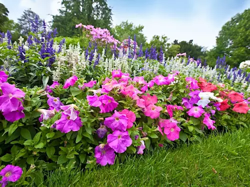 Květinové ráje aneb nejkrásnější zahrady Česka