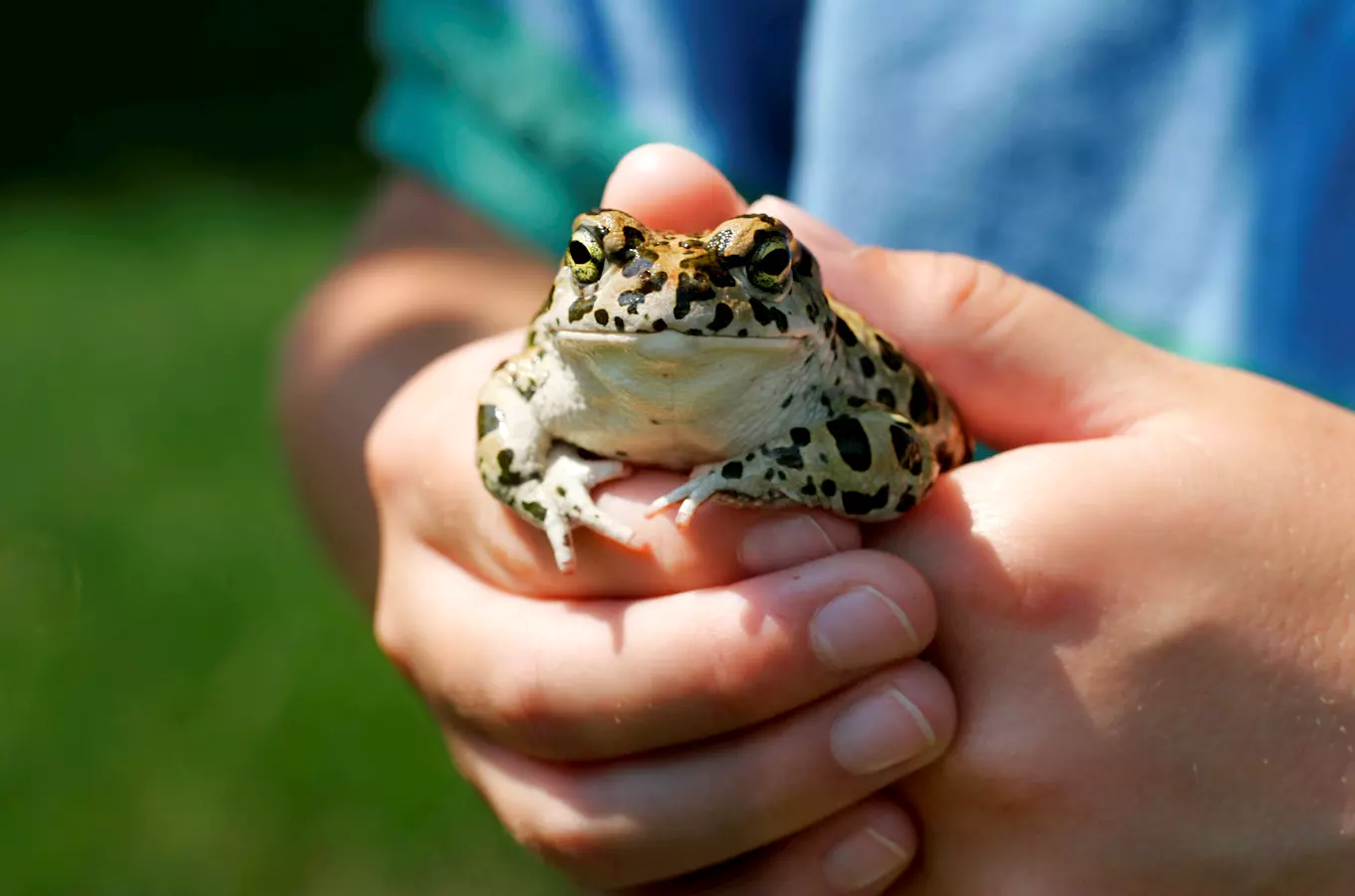 Přijďte oslavit Světový den vody do vlašimské paraZOO