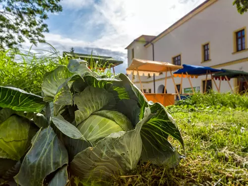 Zdroj foto: obec Turčany, slavnosti zelí 2017