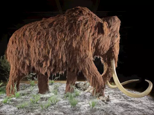 Prehistorictí giganti z doby ledové zaplní prostory OC Šestka v Ruzyni