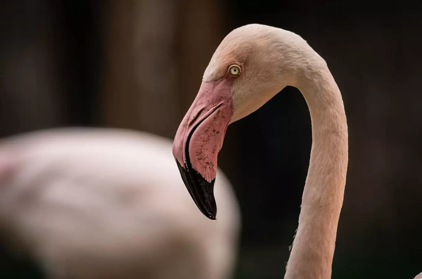 Zoo Brno – za zvířátky po celý rok