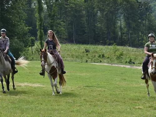 Výcvik na koni