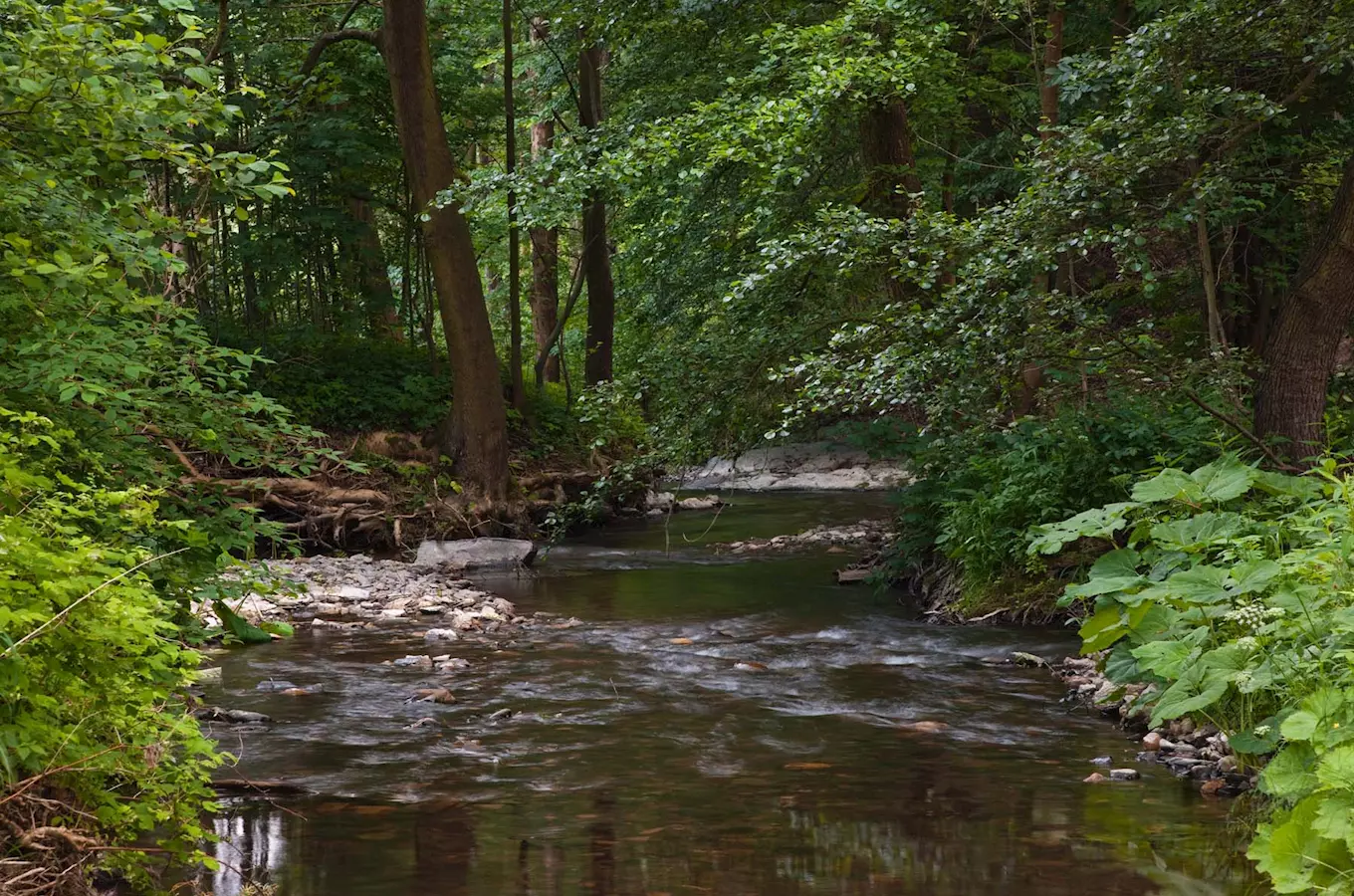 Přírodní park Údolí Křetínky u Svojanova