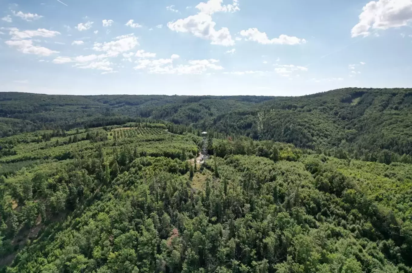 S osobností na procházku: do Bílovic nad Svitavou se spisovatelem Rudolfem Těsnohlídkem a liškou Bys