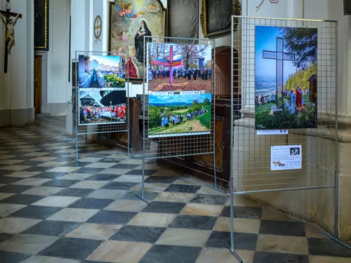 Ukázky z výstavy