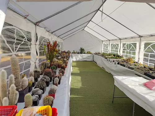 Výstava kaktusů, sukulentů a exotických rostlin 2024 v Safari Parku Dvůr Králové