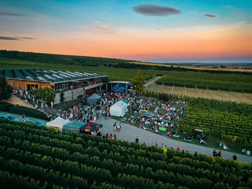 Hudba na vinicích startuje: léto na jižní Moravě spojí dobré víno a skvělou muziku 