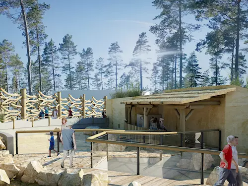 V Zoo Olomouc vyrůstá nový pavilon Kalahari