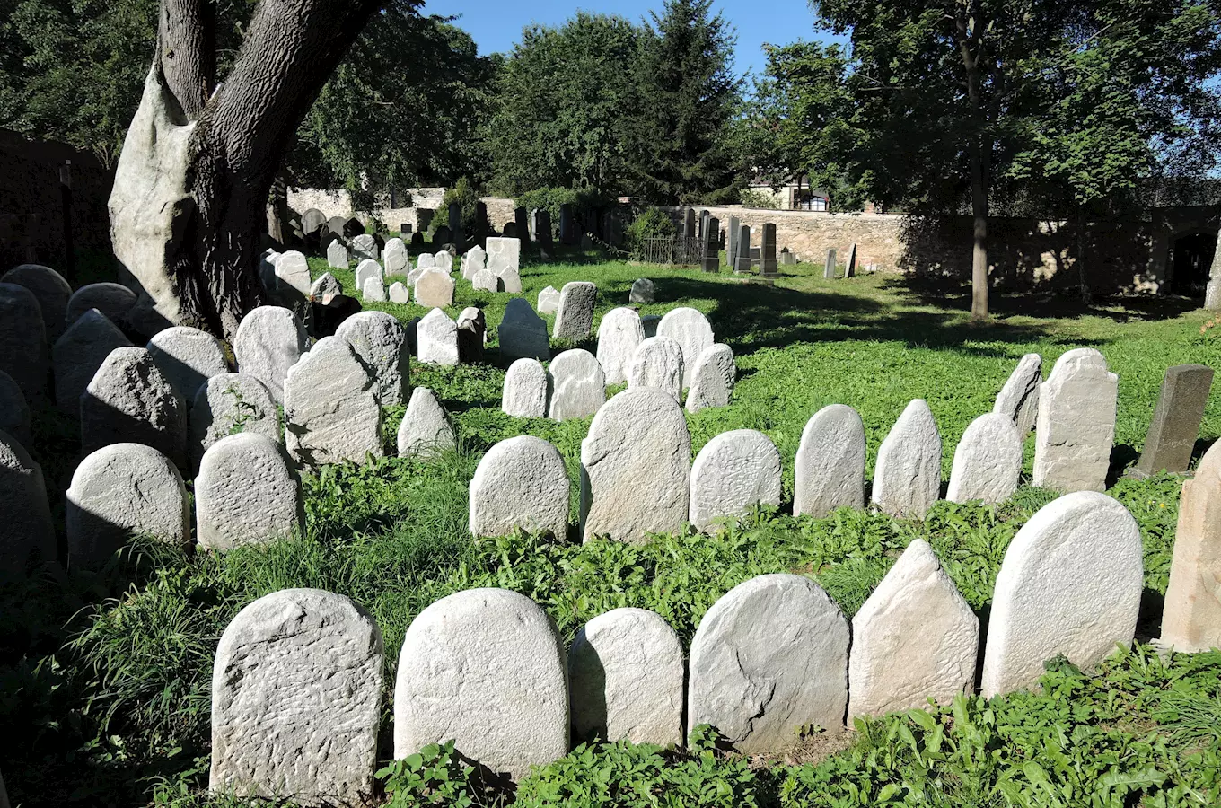 Židovský hřbitov ve Vlachově Březí 