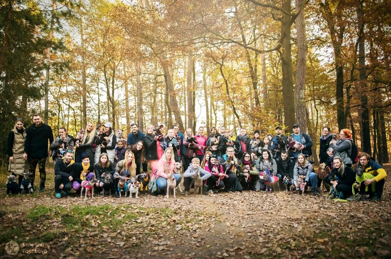 Hallo draußen!